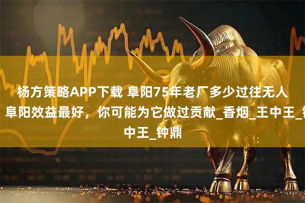 杨方策略APP下载 阜阳75年老厂多少过往无人知？阜阳效益最好，你可能为它做过贡献_香烟_王中王_钟鼎