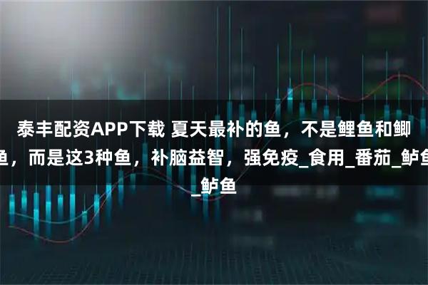 泰丰配资APP下载 夏天最补的鱼，不是鲤鱼和鲫鱼，而是这3种鱼，补脑益智，强免疫_食用_番茄_鲈鱼