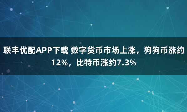 联丰优配APP下载 数字货币市场上涨，狗狗币涨约12%，比特币涨约7.3%
